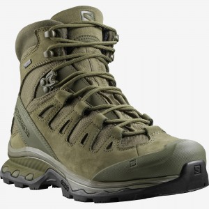 salomon quest 4d 2